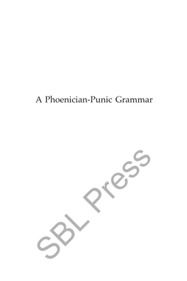 A Phoenician Punic Grammar