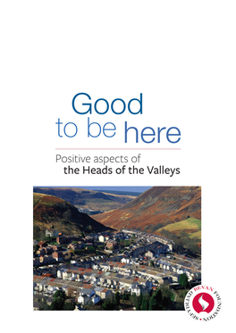 Positive Aspects of the Heads of the Valleys Acknowledgments