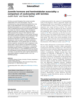 Juvenile Hormone and Hemimetabolan Eusociality: a Comparison of Cockroaches with Termites Judith Korb1[58 TD$IF]And Xavier Belles2