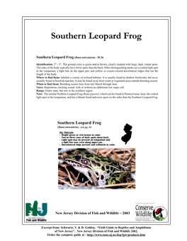 Southern Leopard Frog