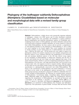 Phylogeny of the Leafhopper Subfamily Deltocephalinae (Hemiptera: Cicadellidae) Based on Molecular and Morphological Data with a Revised Family-Group Classiﬁcation