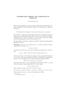 INTERSECTION THEORY and AMPLITUDE on SURFACES These Is the Penultimate Version of Notes, Prepared for the Seshadri Con- Stants W