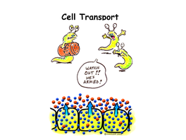 Cell Transport Notes.Pdf