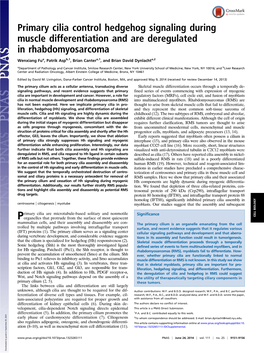 Primary Cilia Control Hedgehog Signaling During Muscle Differentiation and Are Deregulated in Rhabdomyosarcoma