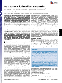 Intrasperm Vertical Symbiont Transmission