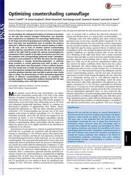 Optimizing Countershading Camouflage