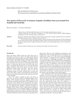 New Species of Brucerolis (Crustacea: Isopoda: Serolidae) from Seas Around New Zealand and Australia