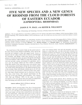 Five New Species and a New Genus of Riodinid from the Cloud Forests of Eastern Ecuador (Lepidoptera: Riodinidae)