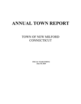 Annual Town Report