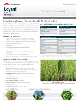 Introducing Loyant™ Herbicide with Rinskor™ Active ™ ™ Loyant Herbicide with Rinskor Active Is a New Arylpicolinate Herbicide KEY WEED SPECIES CONTROLLED in U.S