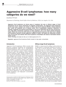 Aggressive B-Cell Lymphomas: How Many Categories Do We Need&Quest