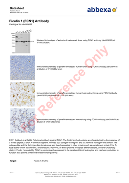 (FCN1) Antibody Catalogue No.:Abx005053