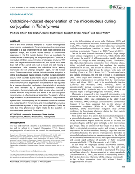 Colchicine-Induced Degeneration of the Micronucleus During Conjugation in Tetrahymena