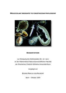 Molecular Insights to Crustacean Phylogeny