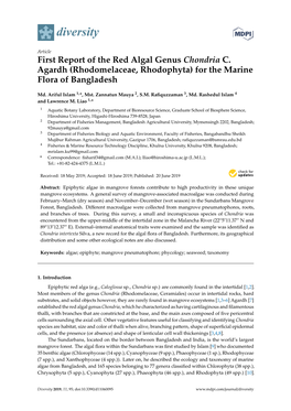 First Report of the Red Algal Genus Chondria C. Agardh (Rhodomelaceae, Rhodophyta) for the Marine Flora of Bangladesh