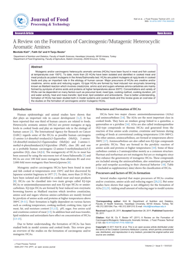 A Review on the Formation of Carcinogenic/Mutagenic Heterocyclic