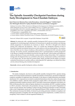 The Spindle Assembly Checkpoint Functions During Early Development in Non-Chordate Embryos