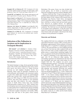 Indications of Bee Pollination in Sorghum and Its Implications in Transgenic Biosafety