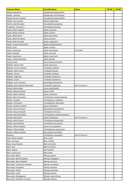 Common Name Scientific Name Status QE NP LM NP Akalat
