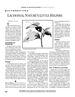 Lacewings, Nature’S Little Helpers