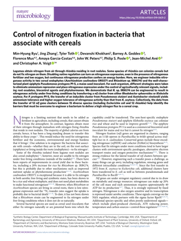 Control of Nitrogen Fixation in Bacteria That Associate with Cereals