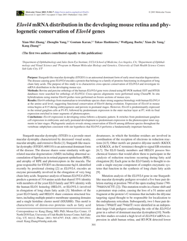 Elovl4 Mrna Distribution in the Developing Mouse Retina and Phy- Logenetic Conservation of Elovl4 Genes