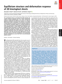 Equilibrium Structure and Deformation Response of 2D Kinetoplast Sheets