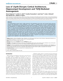 Loss of Usp9x Disrupts Cortical Architecture, Hippocampal Development and Tgfb-Mediated Axonogenesis