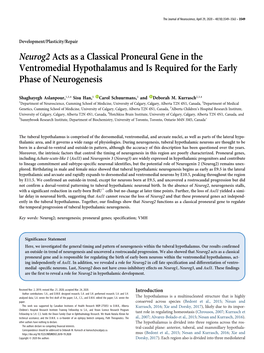 Neurog2 Acts As a Classical Proneural Gene in the Ventromedial Hypothalamus and Is Required for the Early Phase of Neurogenesis