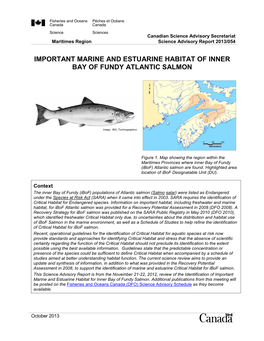 Important Marine and Estuarine Habitat of Inner Bay of Fundy Atlantic Salmon