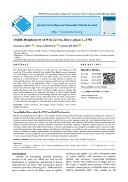 Otolith Morphometry of Wels Catfish, Silurus Glanis L., 1758