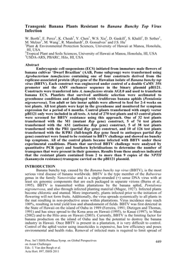 Transgenic Banana Plants Resistant to Banana Bunchy Top Virus Infection