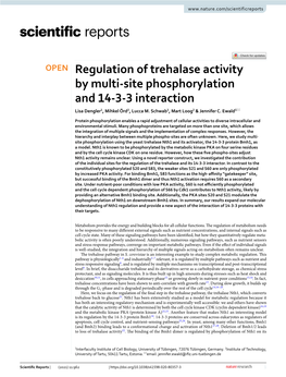 Regulation of Trehalase Activity by Multi-Site Phosphorylation and 14-3