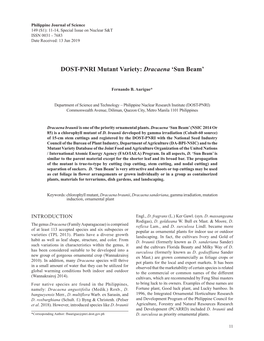 DOST-PNRI Mutant Variety: Dracaena ‘Sun Beam’