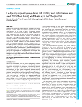 Hedgehog Signaling Regulates Cell Motility and Optic Fissure and Stalk Formation During Vertebrate Eye Morphogenesis Hannah B