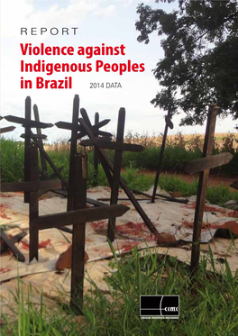 Violence Against Indigenous Peoples in Brazil 2014 DATA