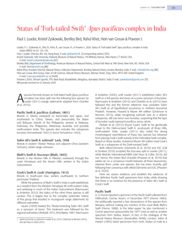 Status of 'Fork-Tailed Swift' Apus Pacificus Complex in India