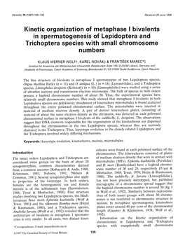 Kinetic Organization of Metaphase I Bivalents Trichoptera Species with Small Chromosome