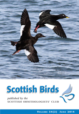 Scottish Birds