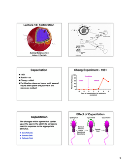 Fertilization Capacitation Chang Experiment