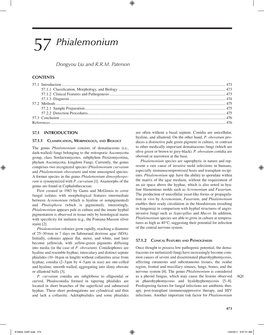 57 Phialemonium