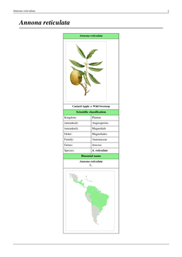 Annona Reticulata 1 Annona Reticulata