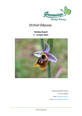 Orchid Odyssey