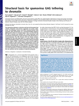 Structural Basis for Spumavirus GAG Tethering to Chromatin