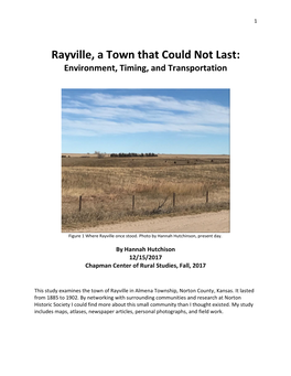 Rayville, a Town That Could Not Last: Environment, Timing, and Transportation