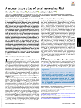 A Mouse Tissue Atlas of Small Noncoding RNA