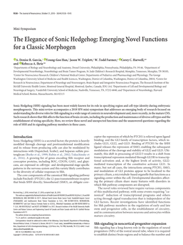 The Elegance of Sonic Hedgehog: Emerging Novel Functions for a Classic Morphogen