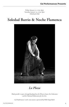 Soledad Barrio & Noche Flamenca