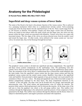 Anatomy for the Phlebologist