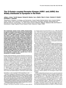 The G-Protein-Coupled Receptor Kinases PARK1 and PARK2 Are Widely Distributed at Synapses in Rat Brain